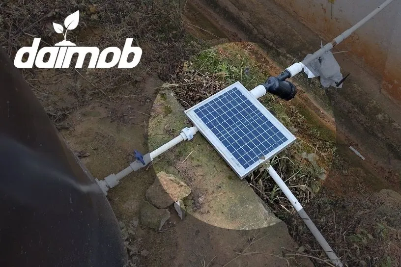 daimob-energia-renovable