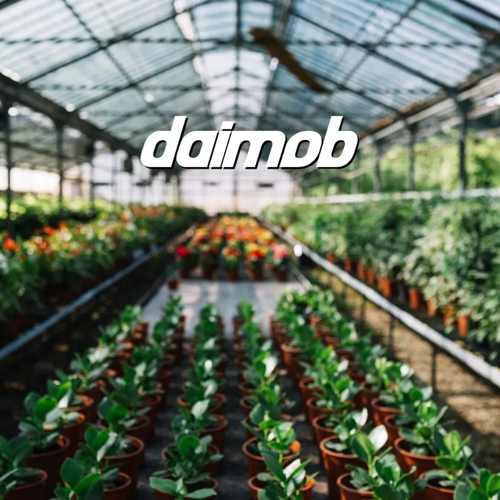 plataforma-daimob