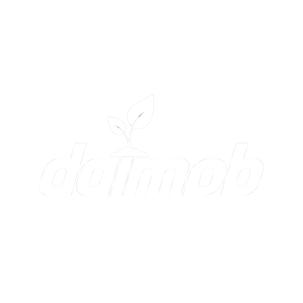 plataforma-daimob